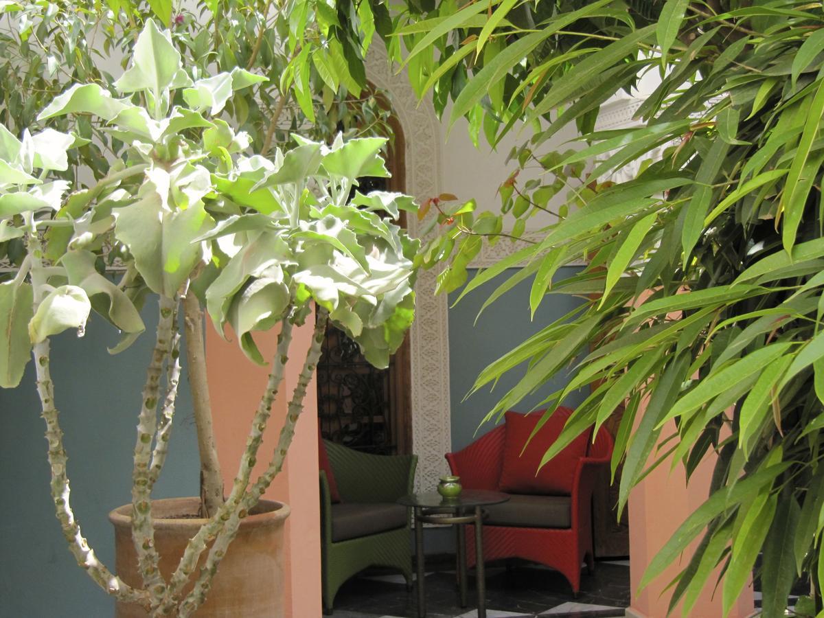 Suite avec Terrasse